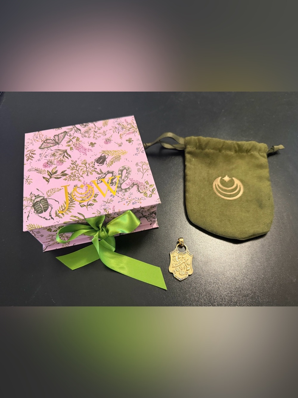 Jane Win Hope Shield Pendant NWOT